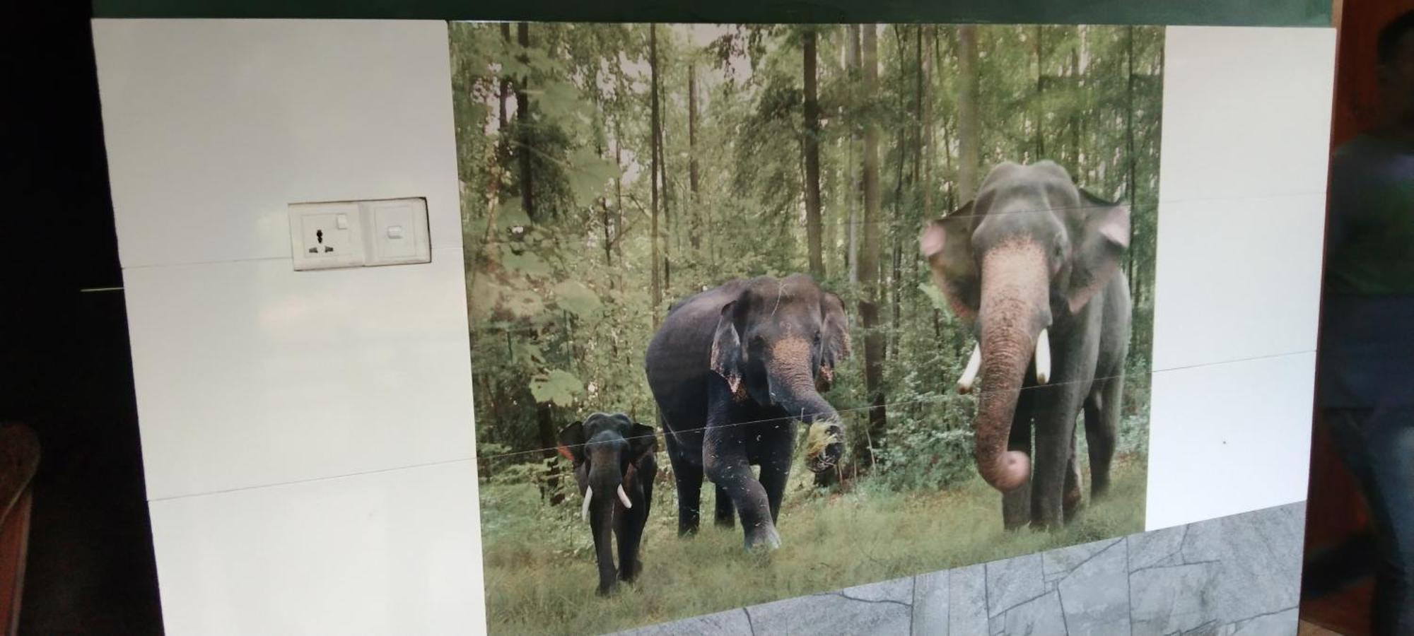 Kanneliya Eco Garden Hotel Koralegama 外观 照片